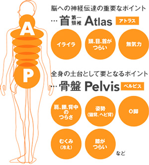 A.P.バランス®(骨格・骨盤調整)